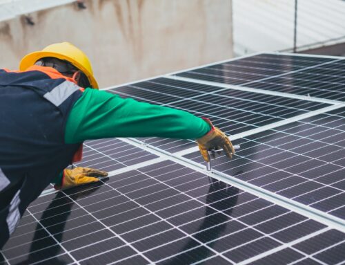 Solar for large businesses – transition to clean energy