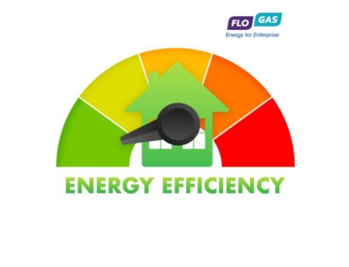 Energy Efficiency Services and Renewable Solutions