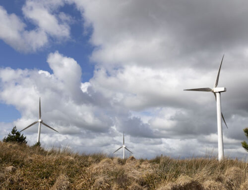 Celebrate Global Wind Day: Harnessing the Power of Sustainable Energy